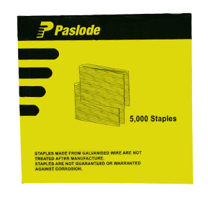 STAPLE 6000 SERIES - L 20MM - C5.5MM ( GAL) 